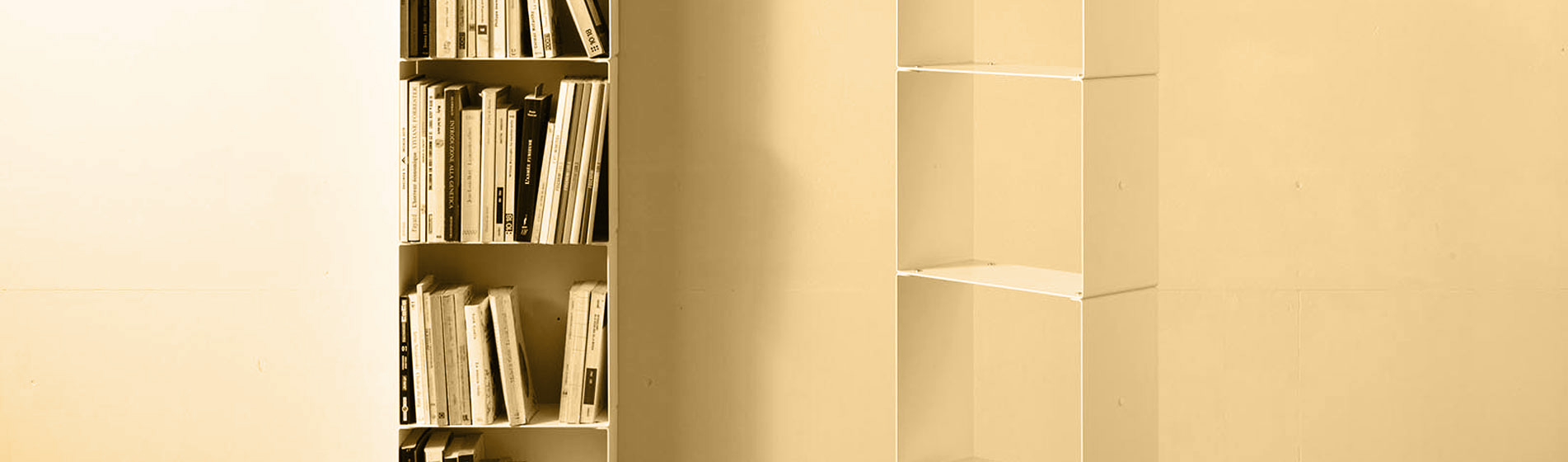 Piccola libreria a parete