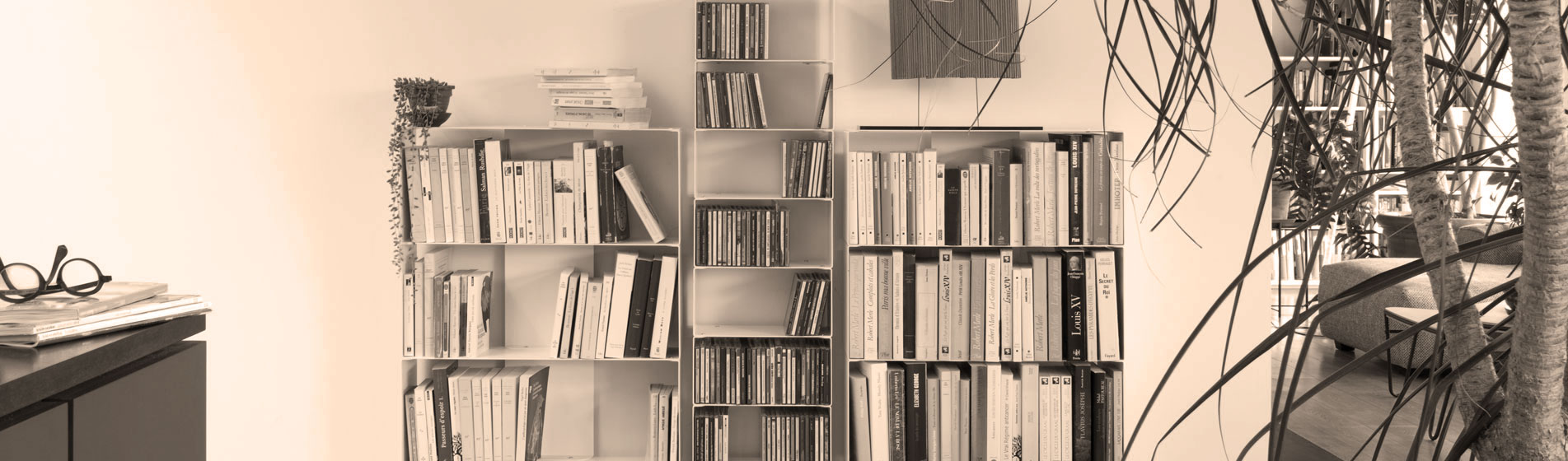 Mobiletto libreria design