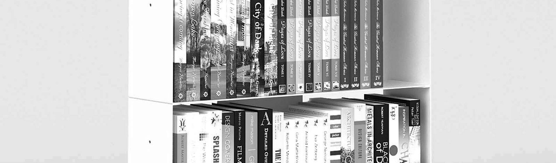Piccola libreria invisibile