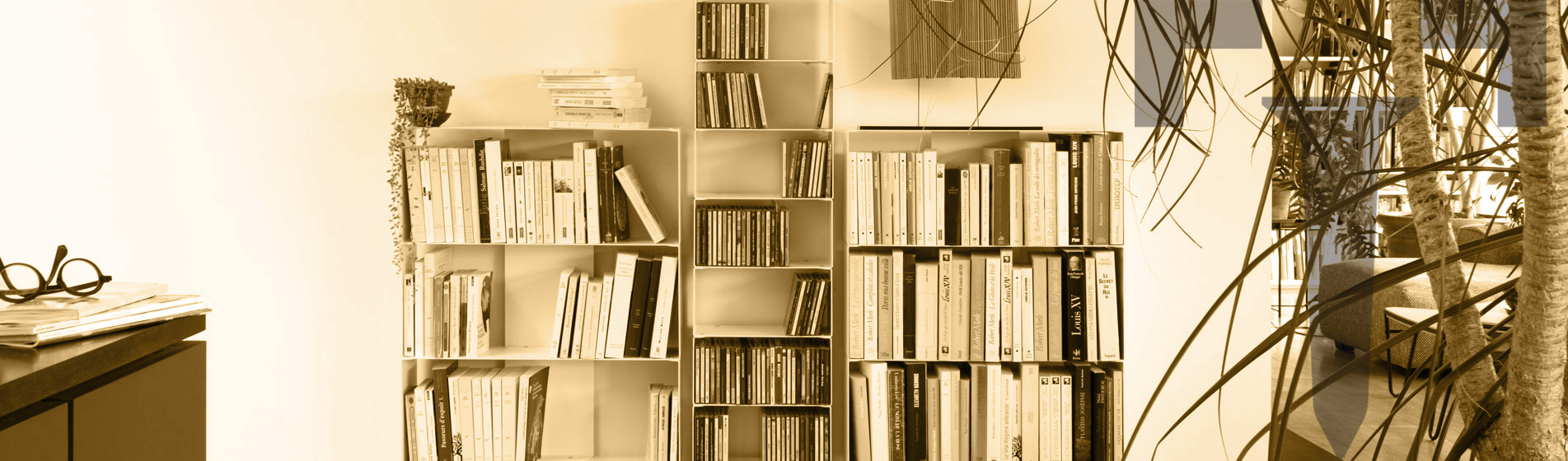 Mobile libreria modulabile