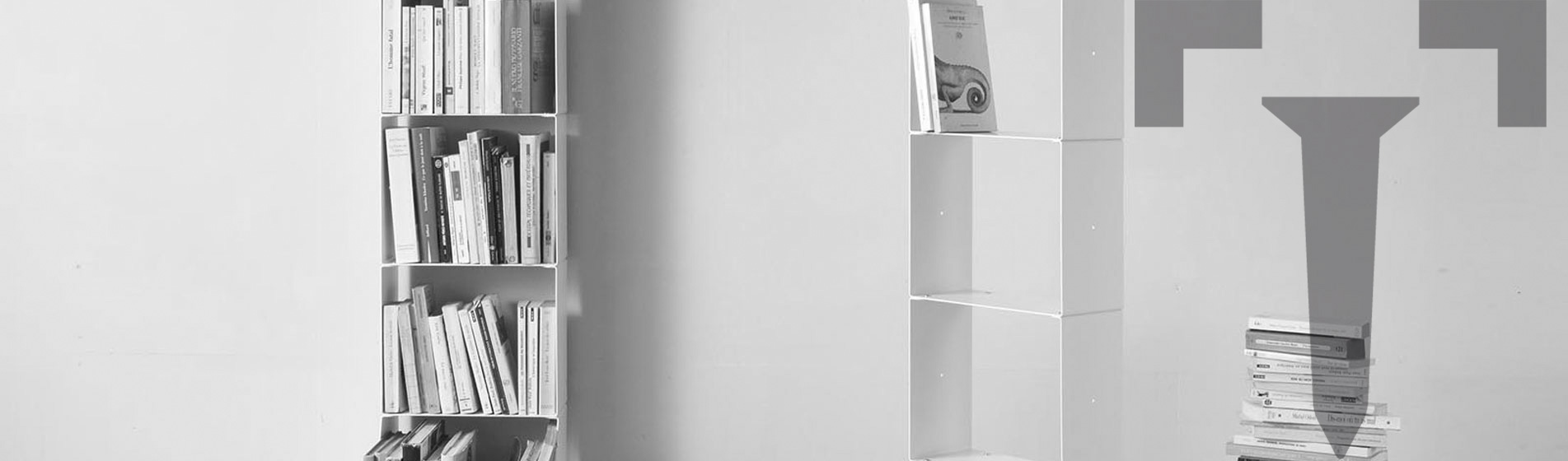 Libreria lineare