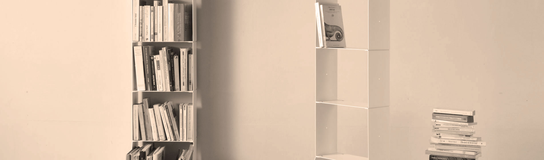 Piccola libreria rettangolare