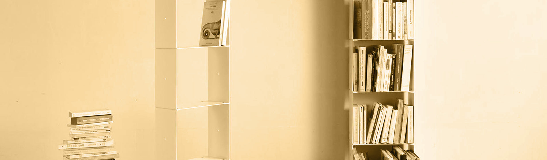 Mensole per libri per ufficio